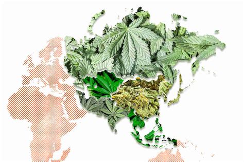 An Update About The Legal Status Of Cannabis In The World
