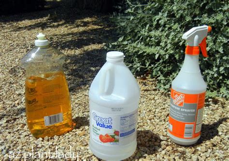 Different people have had different experiences working with this weed killer. dish soap Archives - Ramblings from a Desert Garden