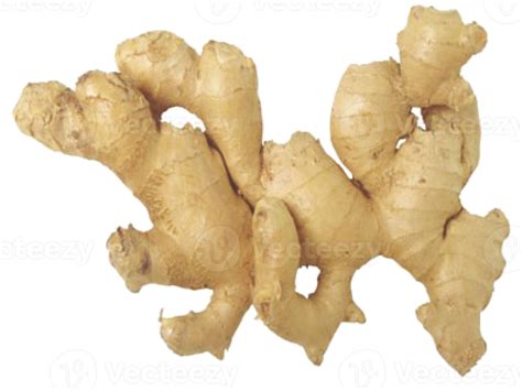 Ginger On Transparent Background 13862364 Png