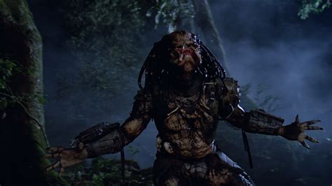 «in this movie, arnold will experience every meaning of the word «» pain «»». It Came From the '80s The Evolution of the 'Predator ...