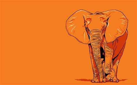 Fond Décran Illustration Dessin Animé éléphant Mammifère