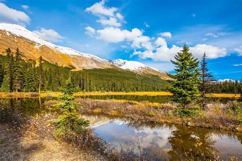 The Boggy Valley In The Rocky Mountains Stock Photo Image Of Autumn