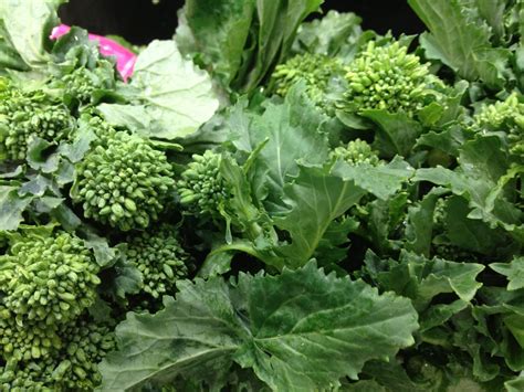 Days to maturity are from transplanting date; Gluten Free A-Z : Eat Healthier with Broccoli Raab