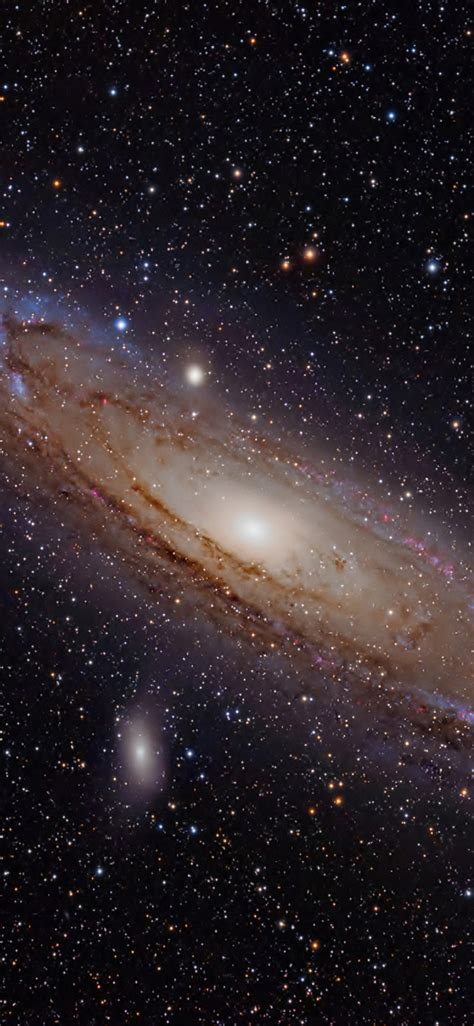 Andromeda Wallpaper 1125x2436