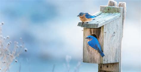 How much does it cost to stay at holiday home sea nest? LES FEMMES - THE TRUTH: Time out for a nature break