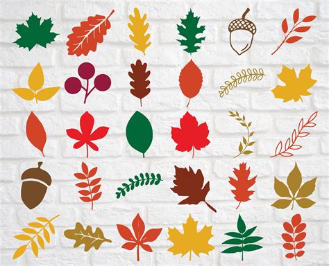 Fall Leaf Bundle Svg Fall Leaves Svg Autumn Svg Autumn Leaves Etsy