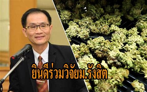 With an inpatient capacity of 1,200 beds, it is one of the largest hospitals in thailand. กรมการแพทย์ยินดีร่วมม.รังสิต วิจัยสารกัญชายับยั้งเซลล์ ...