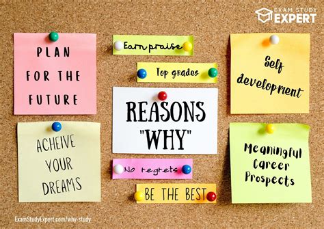 Why Study Get Inspired With 17 Reasons And Benefits Exam Study Expert