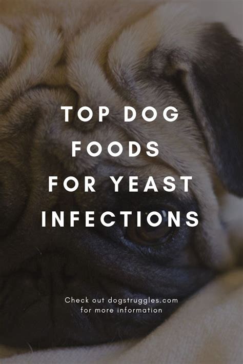 Pethonesty.com has been visited by 10k+ users in the past month Top 5 Best Dog Foods for Yeast Infections | Yeast ...