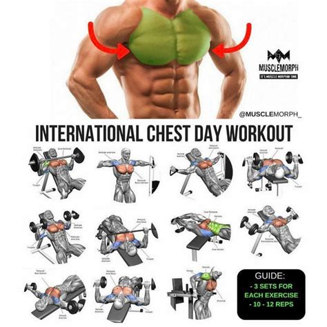 Pin by Leo Rojas on Workouts | Chest workouts, Fitness training, Muscle