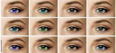 Different Shades Of Green Eyes