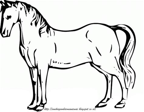 Gambar Mewarnai Kuda Untuk Anak Paud Dan Tk