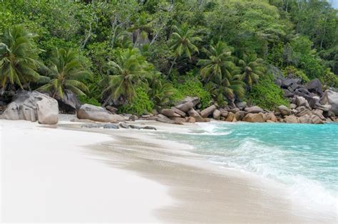 Best Beaches In The Seychelles Most Beautiful Beaches