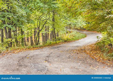 Curved Road Stock Image Image Of Beauty Leaves Nature 34303265