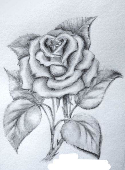 Tentu saja kumpulan tema acara yang menarik memang telah banyak dicari oleh orang di internet. Gambar Pensil Keren Simple / Cara Menggambar Kucing Lucu ...