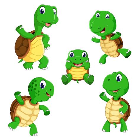 Premium Vector A Group Of Turtle Cartoon