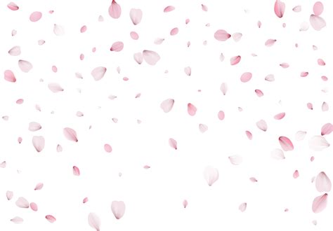 Pink Sakura Petals Png