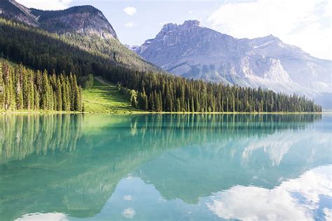 Hd Wallpaper Green Leafed Trees Mountains Landscape Lake Peyto