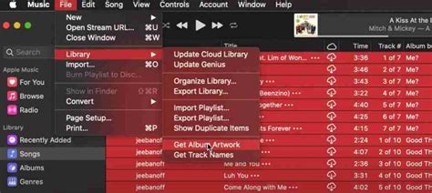 How To Fix iTunes Not Showing Album Artwork?
