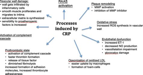 Ldl cholesterol not only coats the walls of your arteries, but it also damages them. C-reactive protein pathogenesis. CRP, C-reactive protein ...