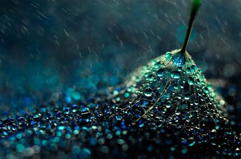Amazing Macro Photography Reveals The Magical World Of Water Droplets