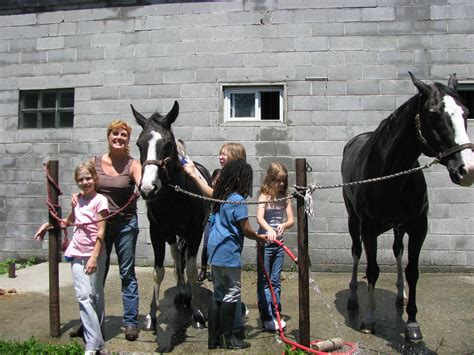 Slip Into The Saddle Nyc Horseback Riding Lessons