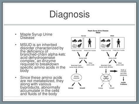 Patients with msud show variable degrees of enzyme deficiency leading to several distinct phenotypes. Maple Syrup Urine Disease