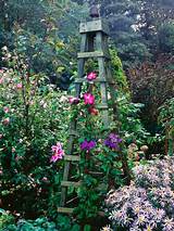 Wooden Framework For Climbing Plants Images