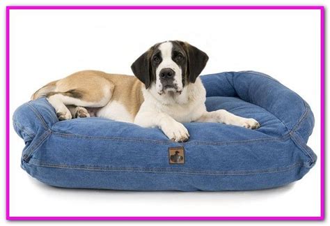 Considering there are dogs out there capable of biting their way through kennel. No Chew Dog Bed Covers (With images) | Covered dog bed ...
