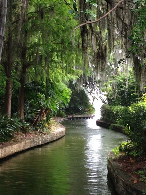 This is not the page you are looking for. Canals in Winter Park Florida | Winter park florida ...