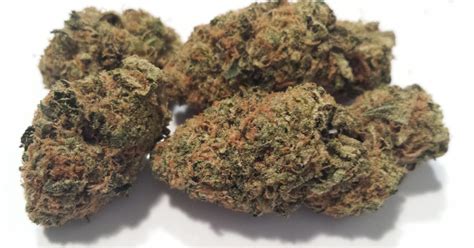 Maybe you would like to learn more about one of these? Monster Cookies Cannabis Strain - Zenpype