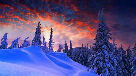 Download 3840x2160 Winter Evening Beautiful Sky Trees Clouds 4k