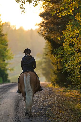 Woman Horseback Riding In Autumn Stock Photo Download Image Now Istock