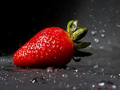 If your cat has swiped one of your strawberries, don't worry as they are not toxic for felines and will do them no harm. Can Cats Eat Strawberries? Benefits & Precautions - Petmoo