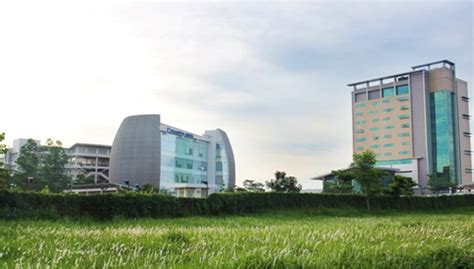 Kelebihan dari cetak saring bisa mencetak di segala bentuk media, datar, lengkung, atau bahkan tidak rata. Cetak Lulusan Berbasis Teknologi, Universitas Prasetiya ...