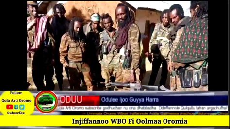 Oduuamme Oolma Wbo Fi Oromiaamajjii 262023 Youtube