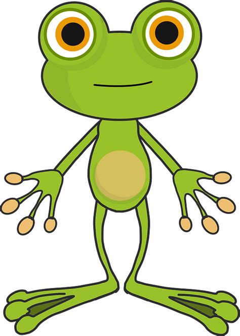 Cartoon Frog Clipart Free Download Transparent Png Creazilla