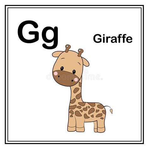 Cute Children Abc Animal Alphabet G Letter Flashcard Of Giraffe For