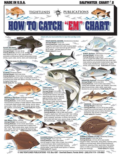 Florida Saltwater Fishing Quick Chart Best Circle Hooks For Saltwater