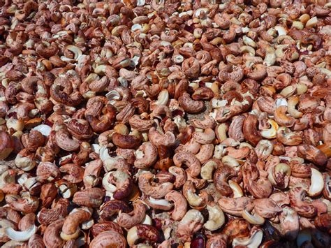 Free Images Plant Roast Produce Cashew Nut Snack Food 4000x3000
