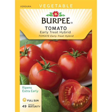 Burpee Tomato Early Treat Hybrid Seed 64658 The Home Depot