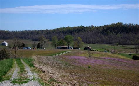 Landscape And Fields Under The Blue Sky In Repton Kentucky Image
