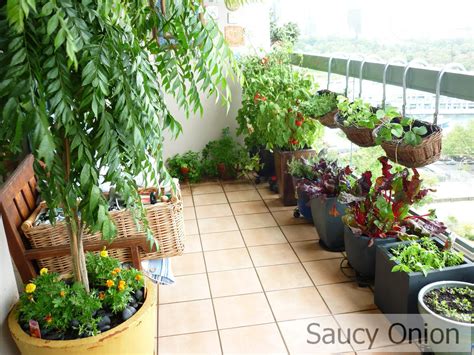 Starting A Balcony Vegetable Garden Best Garden Ideas