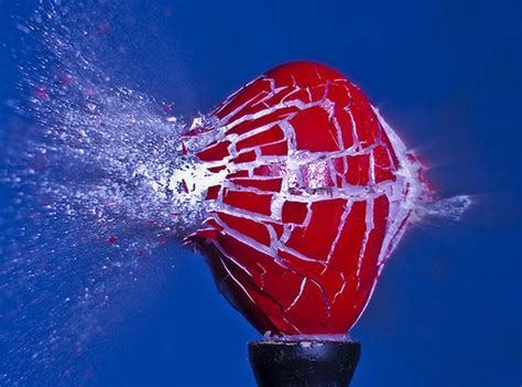 Amazing High Speed Photography By Alan Sailer 99 Pics