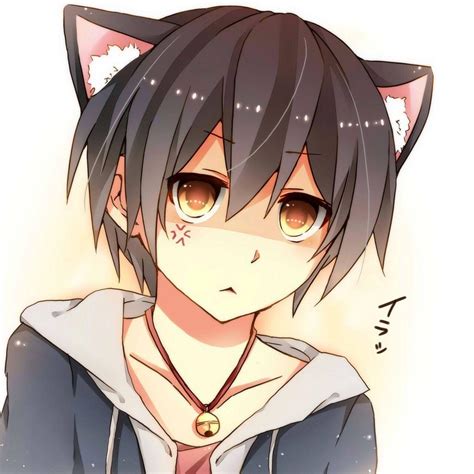 Cute Anime Cat Cute Anime Guys Anime Boy Base Sad Art My Hero Hot Sex