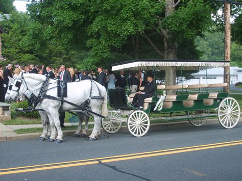 Horse And Carriage Wedding Rental Nj Carriage Rides Cloverland