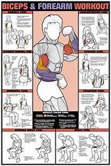 Images of Bicep Home Workouts