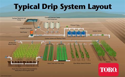 Typical Drip Irrigation Layout Driptips By Toro Ag