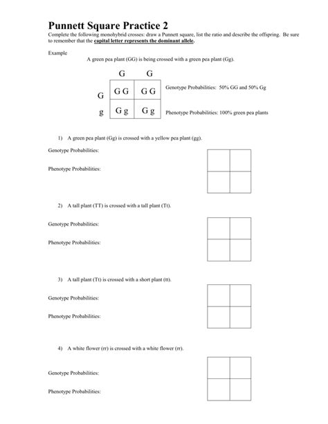 punnett square worksheets with answers