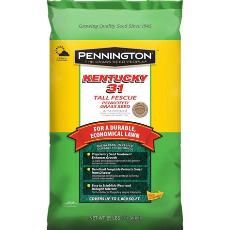 Pennington Kentucky 31 25 Lb Tall Fescue Penkoted Grass Seed 100516055